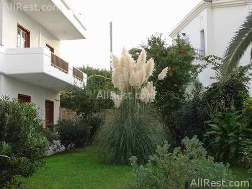 Alexandros Studios & Apartments 3